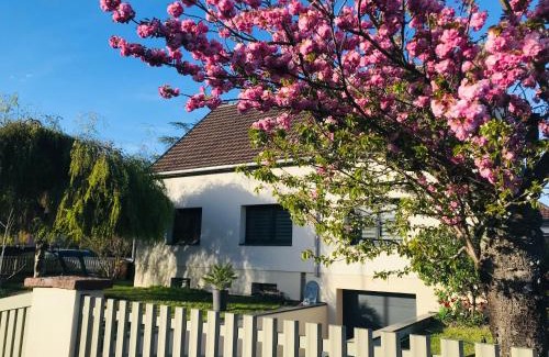 Ingersheim Apartment | Aux Portes de Colmar Évasion sur la route des Vins , à 5 minutes de Colmar