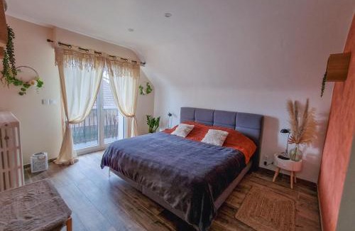 Ingersheim Apartment | Aux Portes de Colmar Évasion sur la route des Vins , à 5 minutes de Colmar