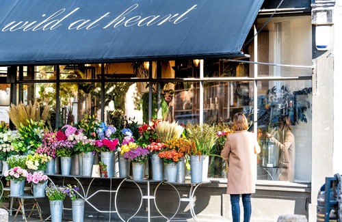Pimlico Apartment | Avari Apartments - Winchester Collection