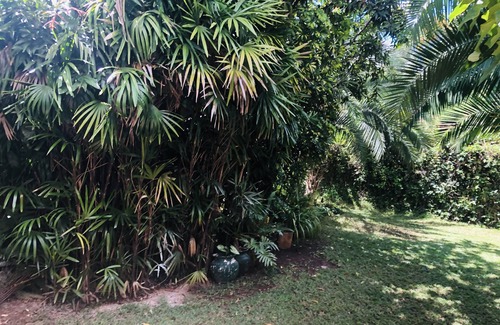 Harare East Apartment | Avondale Executive Luxury Apartment (Close to all amenities)