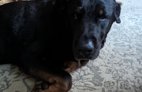 Butler House | awesome awesome