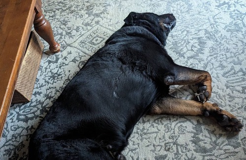 Butler House | awesome awesome