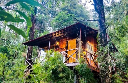 Nainital Hotel | Ayar Jungle Resort