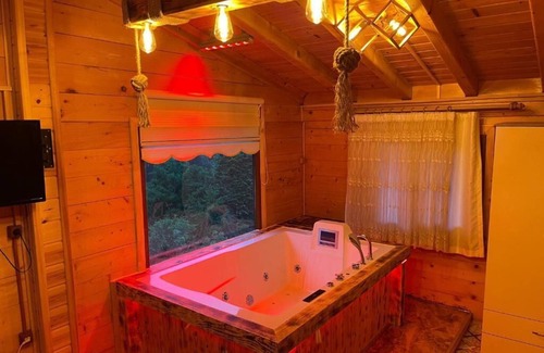 Rize House | Ayder Ardic Apart
