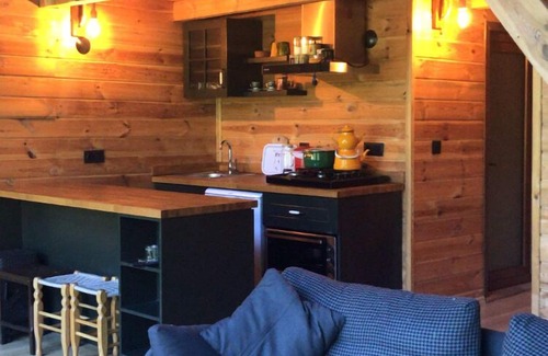 Ayder Yaylasi Apartment | Ayder Dag Evi