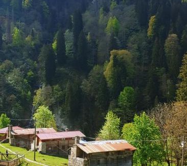 Ayder Yaylasi Hotel | Ayder Vesile Otel