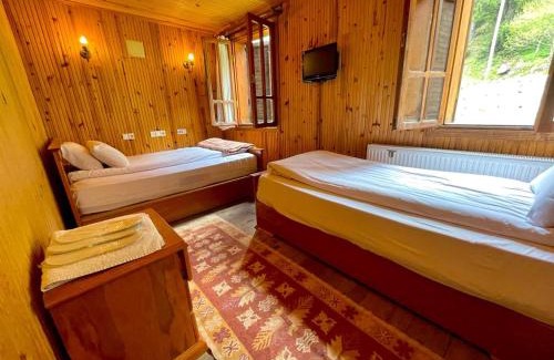 Ayder Yaylasi Hotel | Ayder Vesile Otel