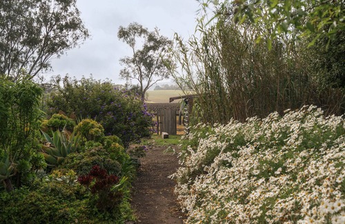 Lyndoch House | Azalea Cedar-Rose Villa