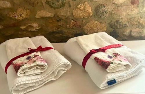 Simignano Apartment | Azienda agricola il Poggione "il Granaio"