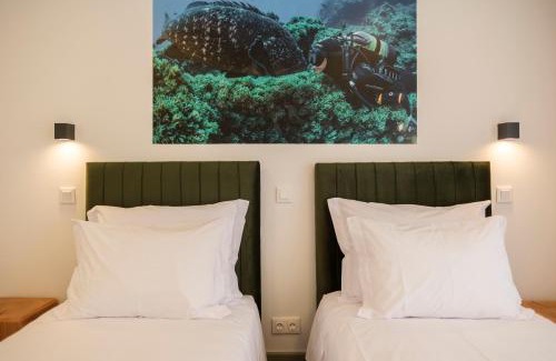 Angra do Heroismo Apartment | Azimute 3