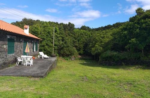 Sao Roque do Pico House | Azores Hibiscus House - Mountain and Sea