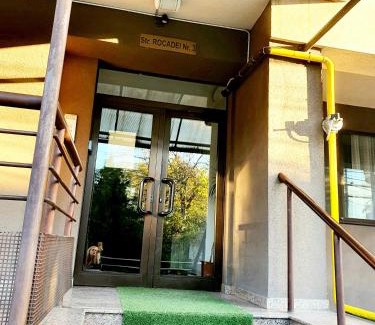 Baneasa Apartment | Băneasa apartment