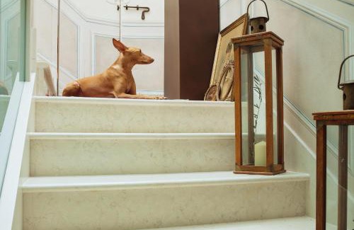 Centro Urbano Bed & Breakfast | B&B Al Re