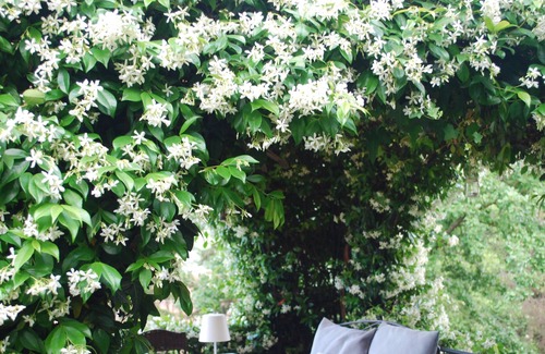 Neive Bed & Breakfast | B&B Casa Margot " La Bohème "