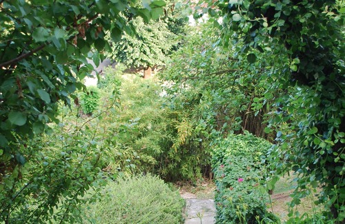 Neive Bed & Breakfast | B&B Casa Margot " La Bohème "