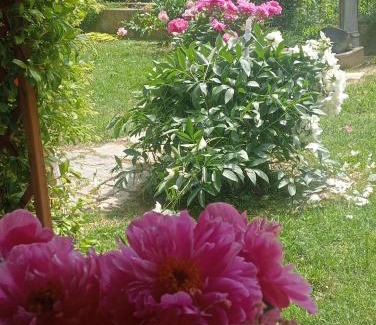 Asti Bed & Breakfast | B&B Cascina Ciapilau