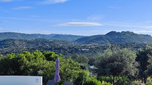Azinhal e Amendoeira Bed & Breakfast | B&B Chambre 1 Vila Alegria ESTOI