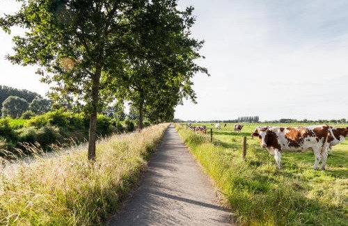 Lovendegem Bed & Breakfast | B&B De Lievde