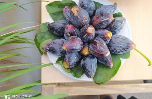 Sarroch Bed & Breakfast | B&B Domu Mea