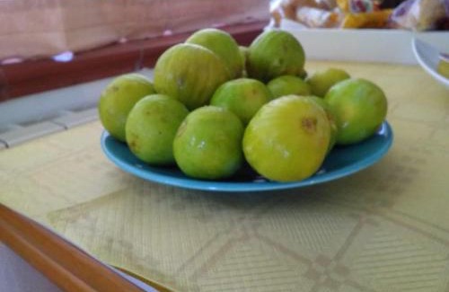 Cittadella del Capo Bed & Breakfast | B&B Il Faro