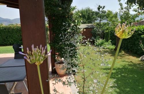 Padula Bed & Breakfast | B&B Il Tiglio