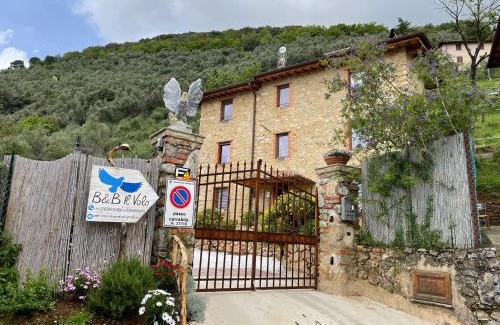 Camaiore Bed & Breakfast | B&B IL VOLO