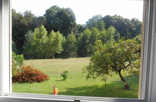 Folelli Apartment | B&B la rivière