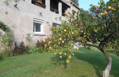 Folelli Apartment | B&B la rivière