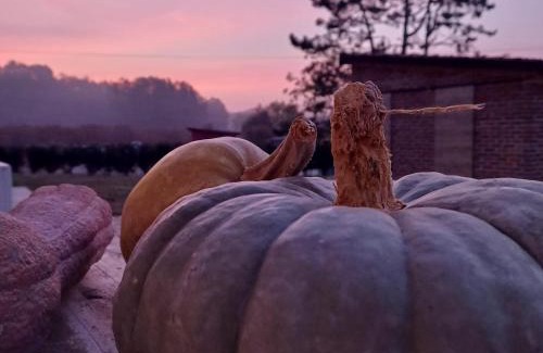 Montemagno Bed & Breakfast | B&B La RU