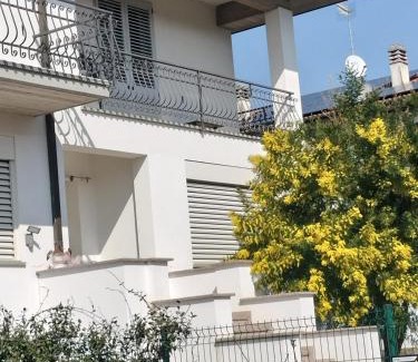 Imola Bed & Breakfast | B & B Le Mimose