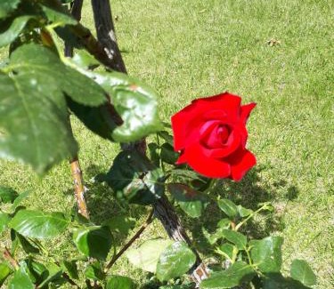 San Marco in Lamis Bed & Breakfast | B&B Porta del Gargano