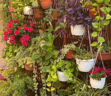 Cavallino Bed & Breakfast | b&b Rita, nel cuore del Salento