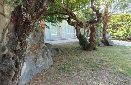 Santo Stefano Ticino Bed & Breakfast | B&B SOFIA