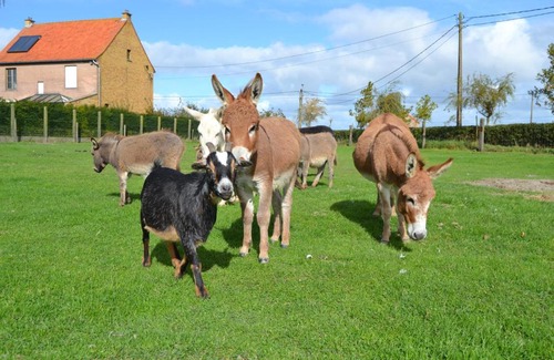 Koksijde Bed & Breakfast | B&B 't Koolhof