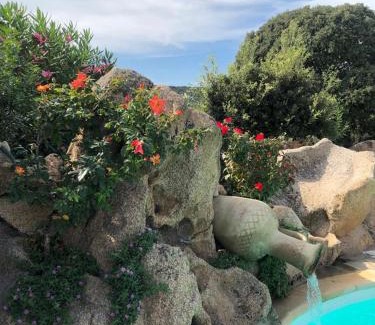 Arzachena Bed & Breakfast | B&B Villa Aurora