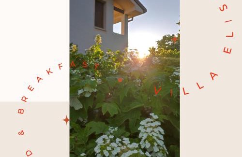 Motta di Livenza Bed & Breakfast | B&B Villa Elisa