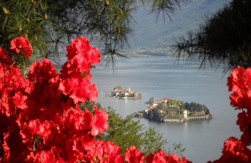 Vedasco Bed & Breakfast | B&B Villa la Camana