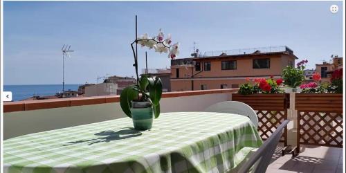 Marina Di Camerota Bed & Breakfast | B&B Villa Palma