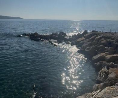 Sanremo Apartment | B&C Riviera Appartment