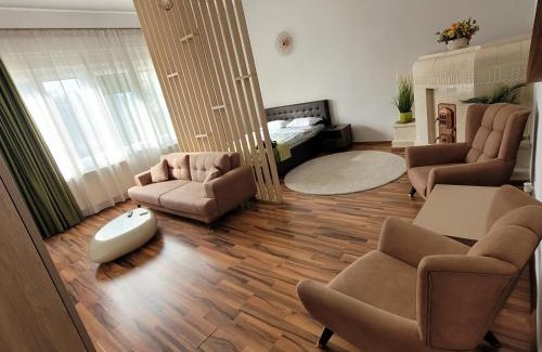 Center Apartment | B8 - Spacious, Charming Apartment in Central Sibiu