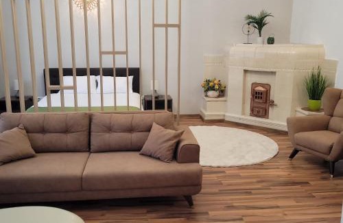 Center Apartment | B8 - Spacious, Charming Apartment in Central Sibiu