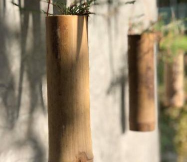 Suan Luang House | Baan Loylom Farmstay