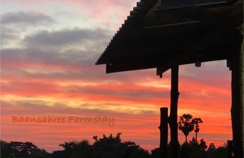 Nong Chang House | Baansahree Farmstay