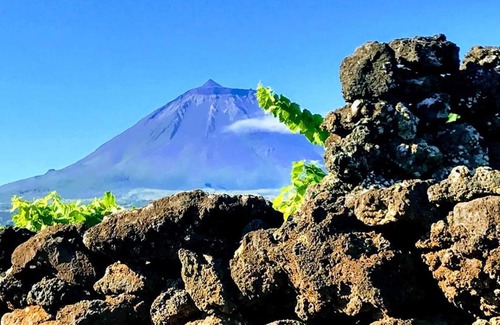 Sao Roque do Pico House | Baco's Vineyard