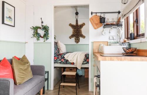Tintagel House | Badgers Rest