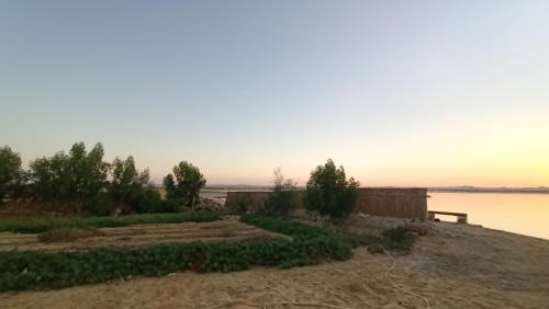 Siwa Other | Bahi Aldeen Camp