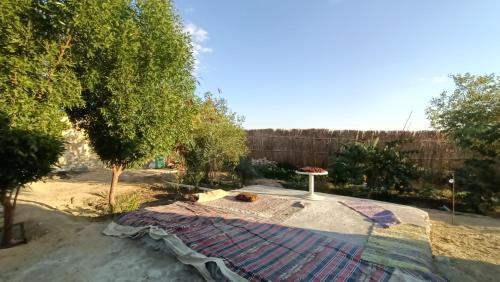 Siwa Other | Bahi Aldeen Camp