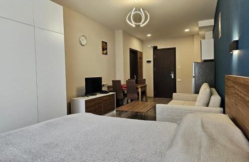 Bakuriani Apartment | Bakuriani Crystal Resort C 414
