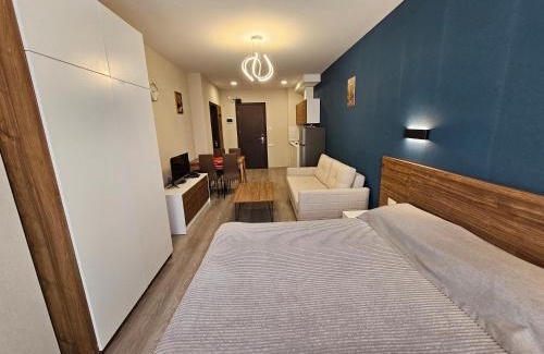 Bakuriani Apartment | Bakuriani Crystal Resort C 414