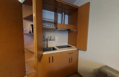 Bakuriani Apartment | Bakuriani Orbi Palace Deluxe 330